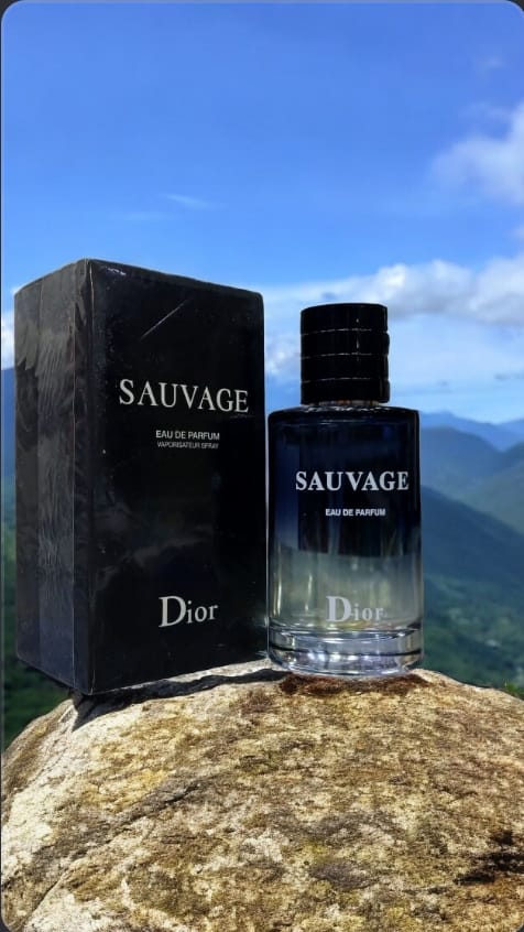 Sauvage Dior 100ml Perfume | Long Lasting Fragrance
